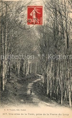 Image du vendeur pour Postkarte Carte Postale Gueret Une allee de la Foret prise de la Pierre du Loup mis en vente par Versandhandel Boeger