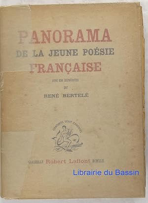 Panorama de la jeune poésie française