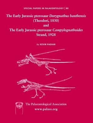 Seller image for Early Jurassic Pterosaur Dorygnathus Banthenis Theodori, 1830 and the Early Jurassic Pterosaur Campylognathoides Strand, 1928 for sale by GreatBookPrices