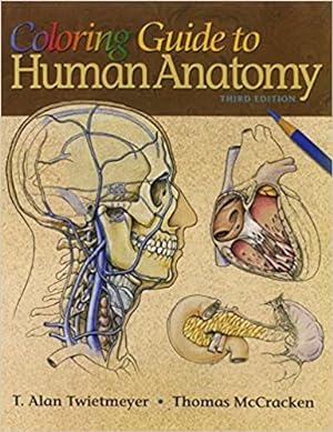 Seller image for Coloring Guide to Human Anatomy for sale by GreatBookPrices