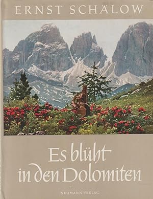 Es blüht in den Dolomiten