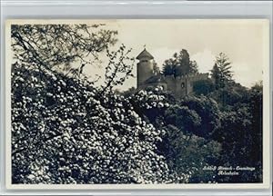 Bild des Verkufers fr Postkarte Carte Postale Arlesheim Schloss Birseck * zum Verkauf von Versandhandel Boeger