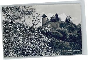 Bild des Verkufers fr Postkarte Carte Postale Arlesheim Schloss Birseck * zum Verkauf von Versandhandel Boeger