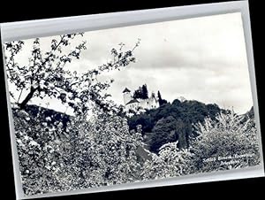 Bild des Verkufers fr Postkarte Carte Postale Arlesheim Schloss Birseck * zum Verkauf von Versandhandel Boeger