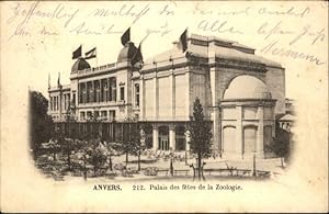 Bild des Verkufers fr Postkarte Carte Postale Anvers Palais Zoologie x zum Verkauf von Versandhandel Boeger