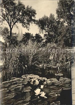 Bild des Verkufers fr Postkarte Carte Postale Bundesgartenschau Kln 1957 Wassergarten zum Verkauf von Versandhandel Boeger