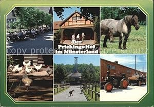 Postkarte Carte Postale Sythen Europahof Prickings Hof Bäuerliche Tierschau Ziegen Pferde Hühner ...
