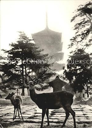 Seller image for Postkarte Carte Postale Reh Kofukuji Temple Japan for sale by Versandhandel Boeger