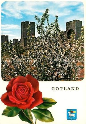 Postkarte Carte Postale Visby Östra muren Stadtmauer Rose