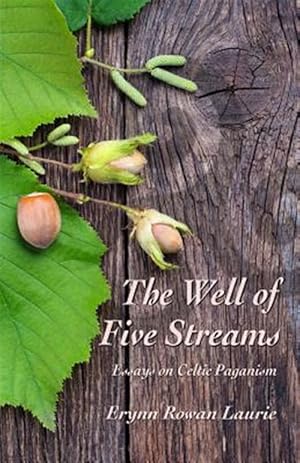 Seller image for The Well of Five Streams for sale by GreatBookPrices