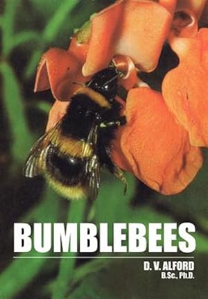 Seller image for Bumble bees for sale by GreatBookPrices