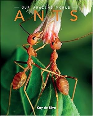 Bild des Verkufers fr Ants: Amazing Pictures & Fun Facts on Animals in Nature zum Verkauf von GreatBookPrices