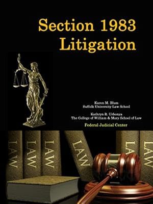 Seller image for Section 1983 Litigation for sale by GreatBookPrices
