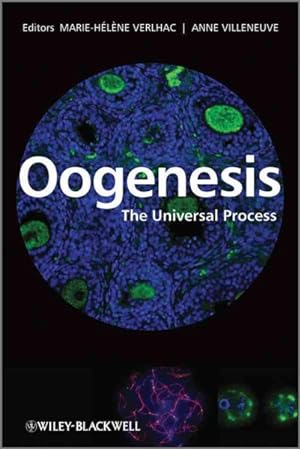 Seller image for Oogenesis : The Universal Process for sale by GreatBookPrices