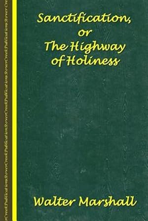 Imagen del vendedor de Sanctification : The Highway of Holiness a la venta por GreatBookPrices