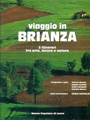 Imagen del vendedor de Viaggio in Brianza. 5 itinerari fra arte, lavoro e natura a la venta por Miliardi di Parole