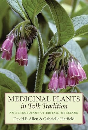 Bild des Verkufers fr Medicinal Plants in Folk Tradition : An Ethnobotany of Britain & Ireland zum Verkauf von GreatBookPrices