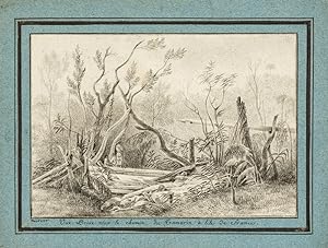 Original drawing of a scene in Mauritius: "Vue prise sur le chemin du Tamarin à l'ile de France"