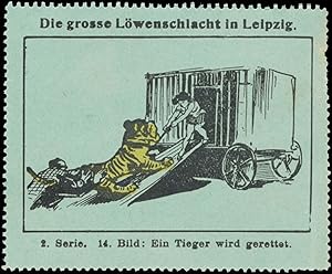 Bild des Verkufers fr Reklamemarke Ein Tiger wird gerettet zum Verkauf von Veikkos