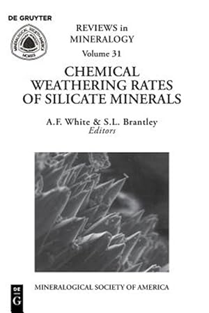 Imagen del vendedor de Chemical Weathering Rates of Silicate Minerals a la venta por GreatBookPrices