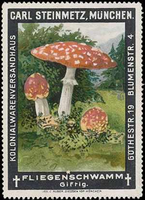 Bild des Verkufers fr Reklamemarke Fliegenschwamm Pilz zum Verkauf von Veikkos