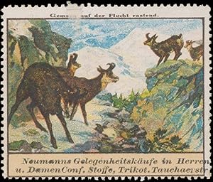 Seller image for Reklamemarke Gemsen auf der Flucht for sale by Veikkos