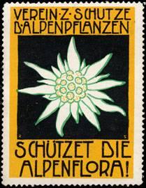 Imagen del vendedor de Reklamemarke Schtzet die Alpenflora a la venta por Veikkos