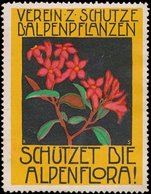 Imagen del vendedor de Reklamemarke Schtzet die Alpenflora a la venta por Veikkos