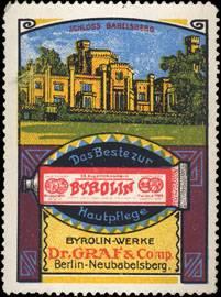 Immagine del venditore per Reklamemarke Schloss Babelsberg venduto da Veikkos