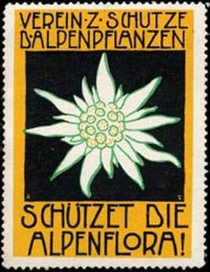 Bild des Verkufers fr Reklamemarke Schtzet die Alpenflora zum Verkauf von Veikkos
