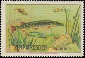 Image du vendeur pour Reklamemarke Aquarium mis en vente par Veikkos