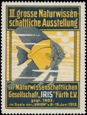 Bild des Verkufers fr Reklamemarke IRIS-Ausstellung zum Verkauf von Veikkos