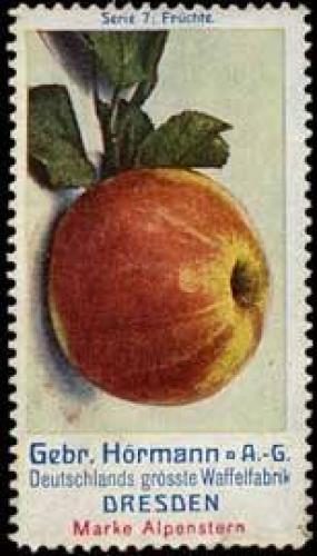 Bild des Verkufers fr Reklamemarke Frchte - Apfel zum Verkauf von Veikkos