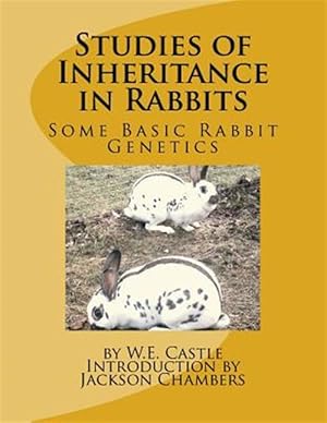 Seller image for Studies of Inheritance in Rabbits : Some Basic Rabbit Genetics for sale by GreatBookPrices