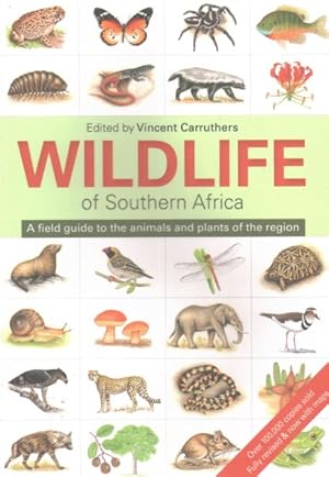 Imagen del vendedor de Wildlife of Southern Africa : A Field Guide to the Animals and Plants of the Region a la venta por GreatBookPrices