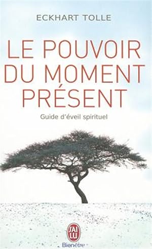 Seller image for LE POUVOIR DU MOMENT PRESENT -Language: french for sale by GreatBookPrices