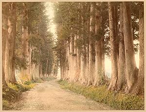 Japan The Nikko road Handcolored original photo Tamamura 1890c XL381