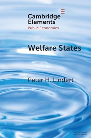 Imagen del vendedor de Welfare States : Achievements and Threats a la venta por GreatBookPrices