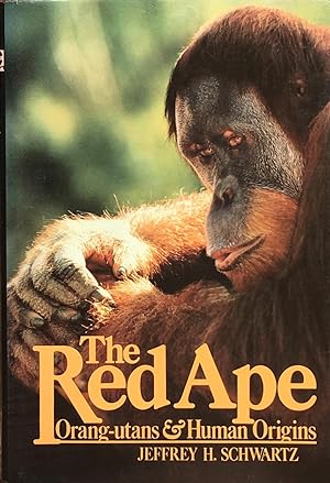 The Red Ape: orang-utans and human origins