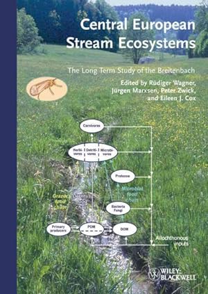Seller image for Central European Stream Ecosystems : The Long Term Study of the Breitenbach for sale by GreatBookPrices