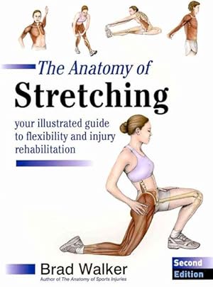 Immagine del venditore per Anatomy of Stretching : Your Illustrated Guide to Flexibility and Injury Rehabilitation venduto da GreatBookPrices