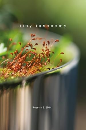 Seller image for Tiny Taxonomy for sale by GreatBookPrices