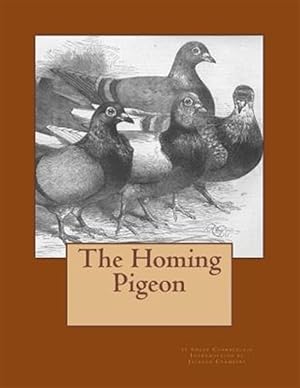 Seller image for Homing Pigeon for sale by GreatBookPrices
