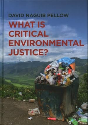 Seller image for What Is Critical Environmental Justice? for sale by GreatBookPrices