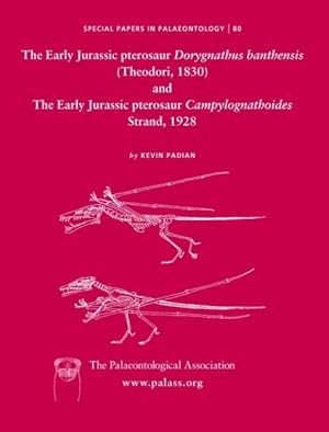 Imagen del vendedor de Early Jurassic Pterosaur Dorygnathus Banthenis Theodori, 1830 and the Early Jurassic Pterosaur Campylognathoides Strand, 1928 a la venta por GreatBookPrices