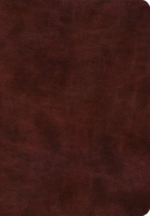 Bild des Verkufers fr Holy Bible : English Standard Version, Burgundy, TruTone, Super Giant Print zum Verkauf von GreatBookPrices