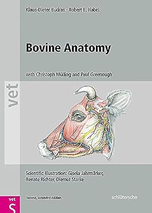 Seller image for Bovine Anatomy for sale by GreatBookPrices