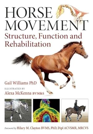 Seller image for Horse Movement : Structure, Function and Rehabilitation for sale by GreatBookPrices