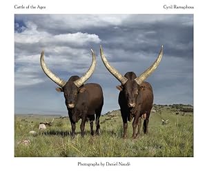 Bild des Verkufers fr Cattle of the Ages : Ankole Cattle in South Africa zum Verkauf von GreatBookPrices