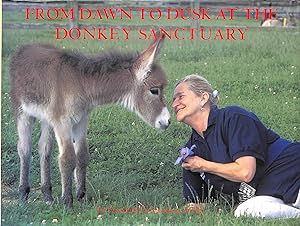 From Dawn to Dusk at the Donkey Sanctuary